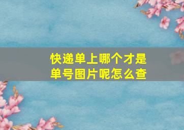 快递单上哪个才是单号图片呢怎么查