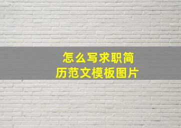 怎么写求职简历范文模板图片