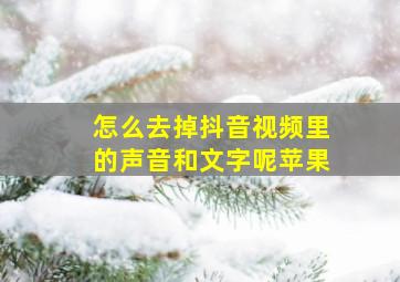 怎么去掉抖音视频里的声音和文字呢苹果