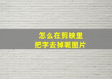 怎么在剪映里把字去掉呢图片