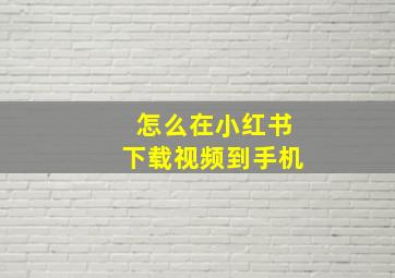 怎么在小红书下载视频到手机