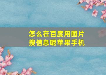 怎么在百度用图片搜信息呢苹果手机