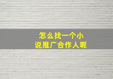 怎么找一个小说推广合作人呢