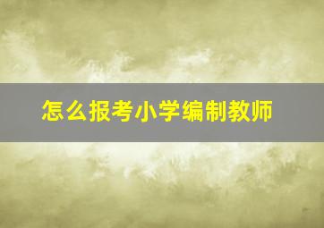 怎么报考小学编制教师