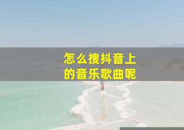 怎么搜抖音上的音乐歌曲呢