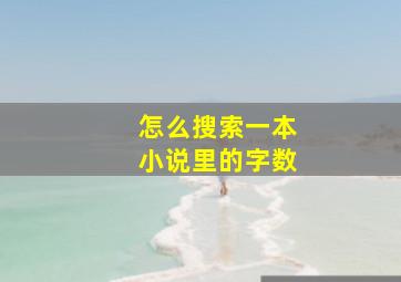 怎么搜索一本小说里的字数