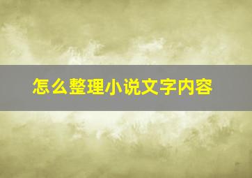 怎么整理小说文字内容