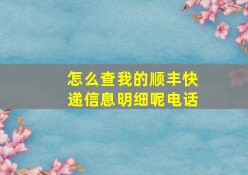 怎么查我的顺丰快递信息明细呢电话