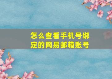 怎么查看手机号绑定的网易邮箱账号