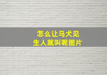 怎么让马犬见生人就叫呢图片