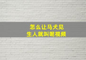 怎么让马犬见生人就叫呢视频