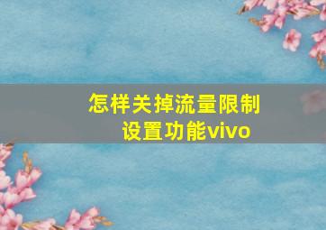 怎样关掉流量限制设置功能vivo