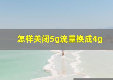 怎样关闭5g流量换成4g