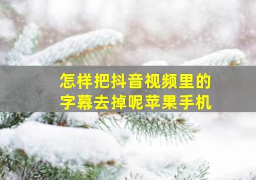 怎样把抖音视频里的字幕去掉呢苹果手机