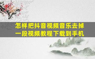 怎样把抖音视频音乐去掉一段视频教程下载到手机