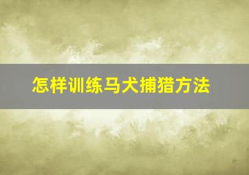 怎样训练马犬捕猎方法