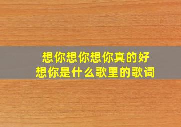 想你想你想你真的好想你是什么歌里的歌词