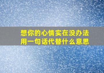 想你的心情实在没办法用一句话代替什么意思