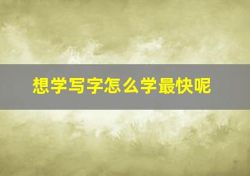 想学写字怎么学最快呢