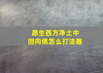 愿生西方净土中回向偈怎么打法器