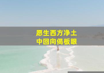 愿生西方净土中回向偈板眼