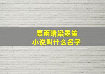 慕雨晴梁墨笙小说叫什么名字