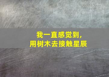 我一直感觉到,用树木去接触星辰