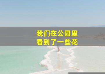 我们在公园里看到了一些花