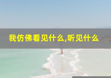 我仿佛看见什么,听见什么