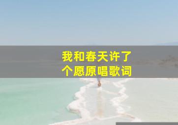 我和春天许了个愿原唱歌词