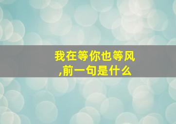 我在等你也等风,前一句是什么