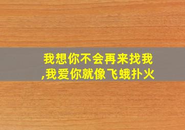 我想你不会再来找我,我爱你就像飞蛾扑火