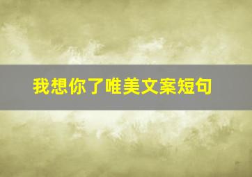 我想你了唯美文案短句