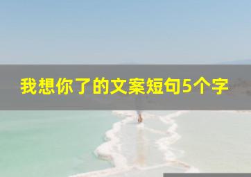 我想你了的文案短句5个字