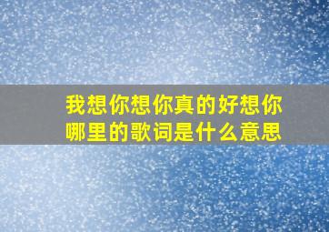 我想你想你真的好想你哪里的歌词是什么意思