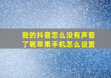 我的抖音怎么没有声音了呢苹果手机怎么设置