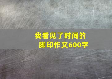 我看见了时间的脚印作文600字