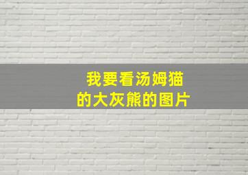 我要看汤姆猫的大灰熊的图片