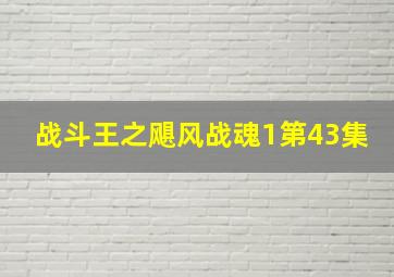 战斗王之飓风战魂1第43集