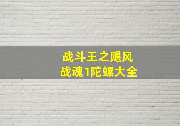 战斗王之飓风战魂1陀螺大全