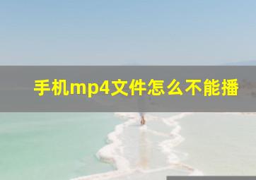 手机mp4文件怎么不能播