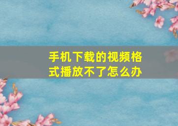 手机下载的视频格式播放不了怎么办