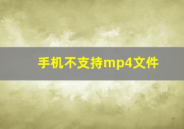 手机不支持mp4文件