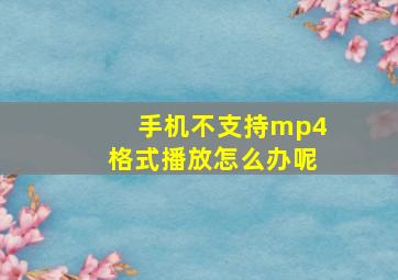 手机不支持mp4格式播放怎么办呢