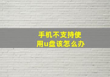 手机不支持使用u盘该怎么办