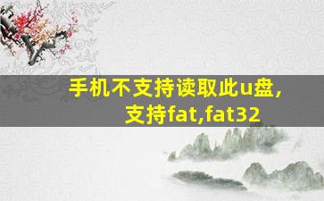 手机不支持读取此u盘,支持fat,fat32