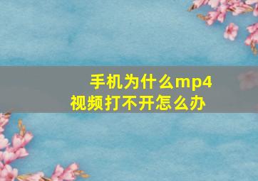 手机为什么mp4视频打不开怎么办