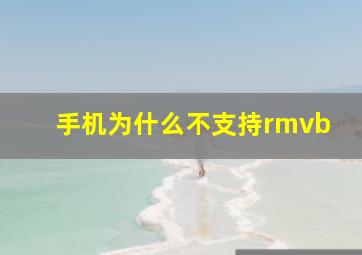 手机为什么不支持rmvb