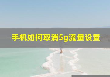 手机如何取消5g流量设置