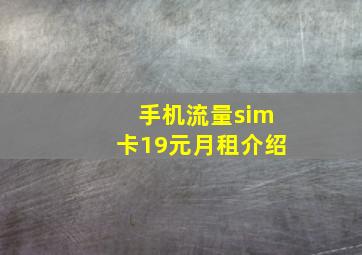 手机流量sim卡19元月租介绍